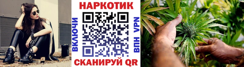 Где купить Новосиль ГАШ Канабис COCAIN Alpha-PVP Меф мяу мяу