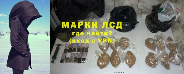 стафф Бородино