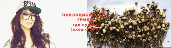 сатива Бронницы