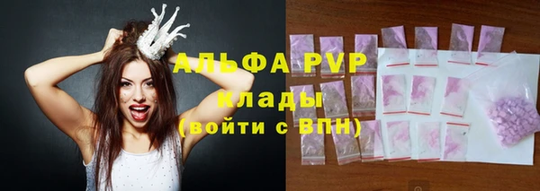 стафф Бородино