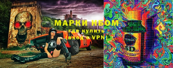 сатива Бронницы