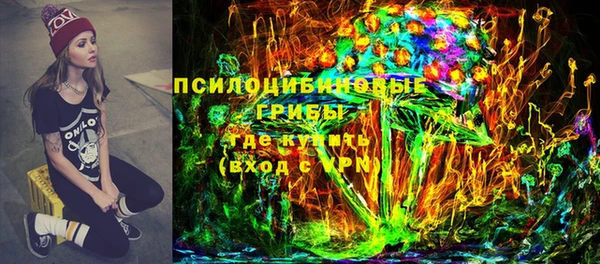 сатива Бронницы