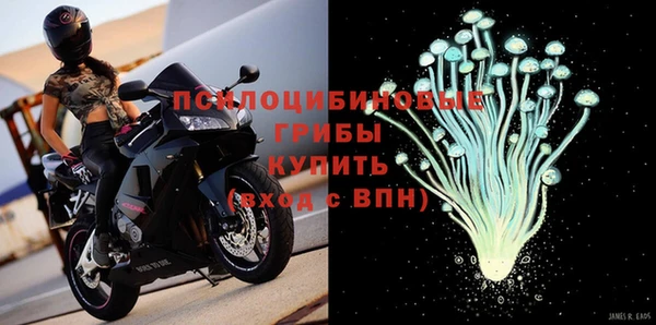 сатива Бронницы