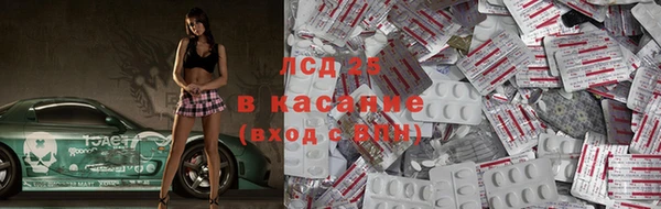стафф Бородино
