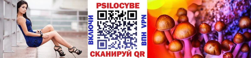 Галлюциногенные грибы MAGIC MUSHROOMS  купить наркоту  Новосиль 