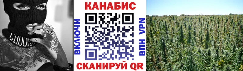 Бошки марихуана Bruce Banner  купить закладку  Новосиль 